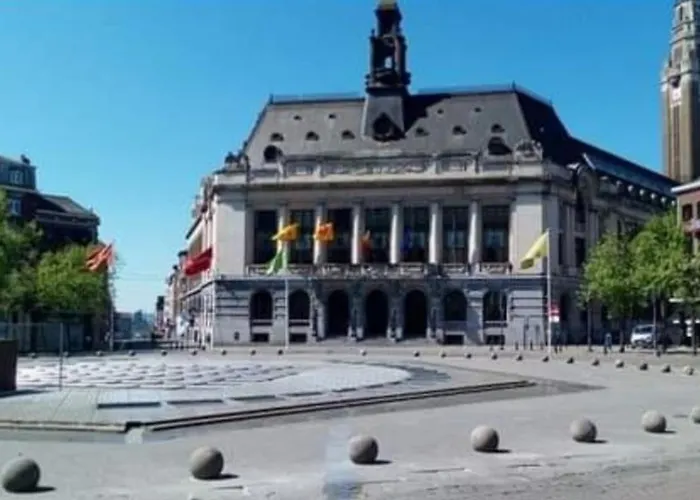 C Bruxelles Airport Cosy 公寓 沙勒罗瓦