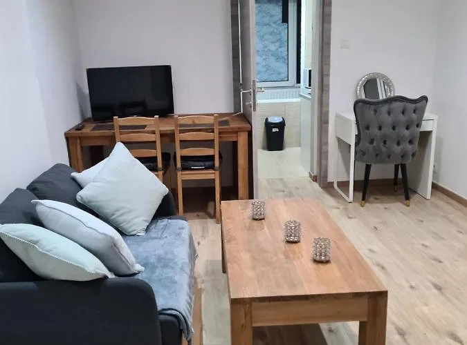 C Bruxelles Airport Cosy 公寓 沙勒罗瓦